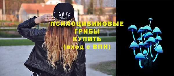 прущие грибы Абинск