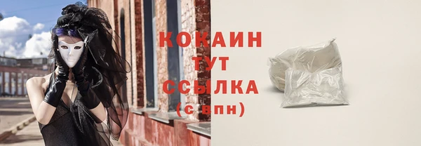 прущие грибы Абинск