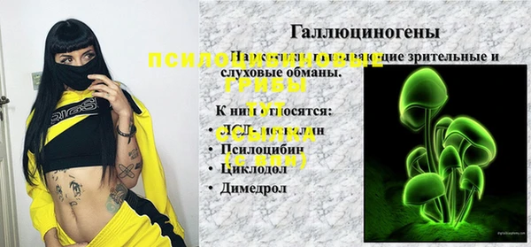 прущие грибы Абинск