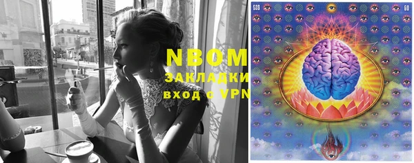 прущие грибы Абинск