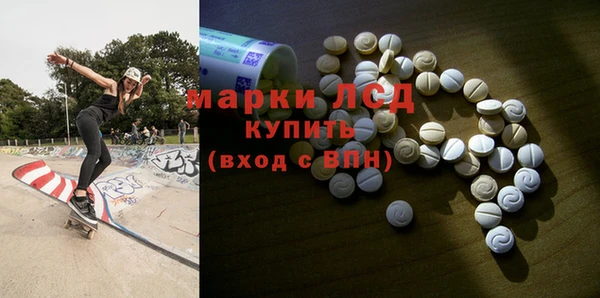 прущие грибы Абинск