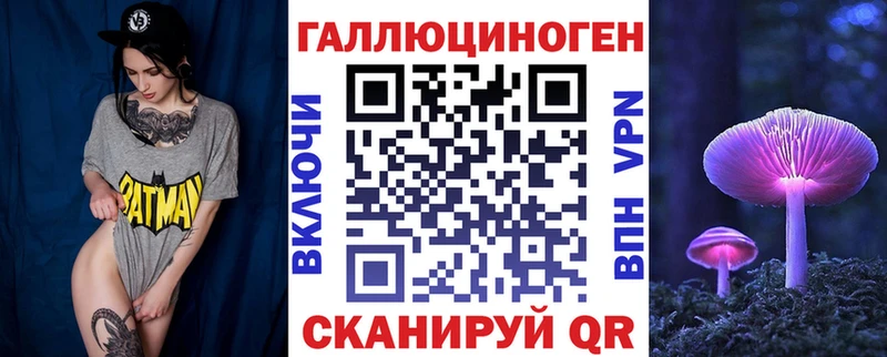 Псилоцибиновые грибы Psilocybe  где купить наркоту  Отрадная 