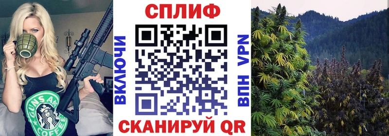 hydra как зайти  Отрадная  Конопля AK-47  как найти  